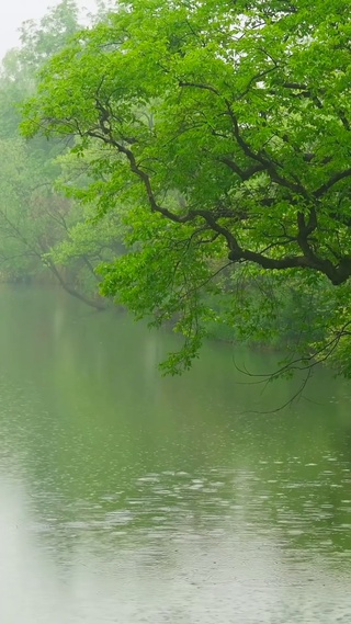 雨中绿湖