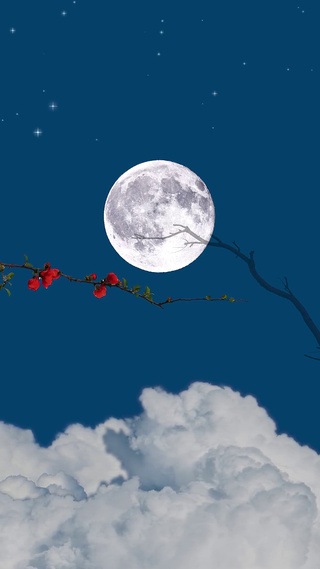 安静夜晚冷月高挂枝梢