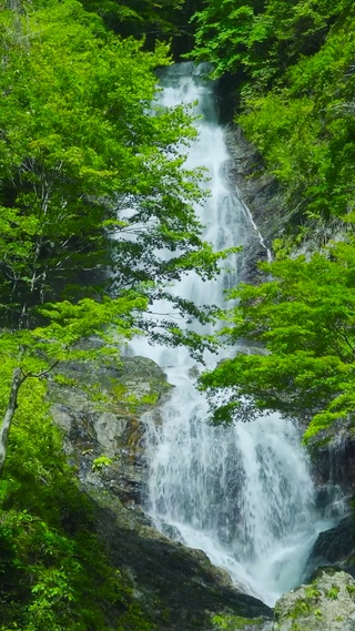 高山绿林瀑布