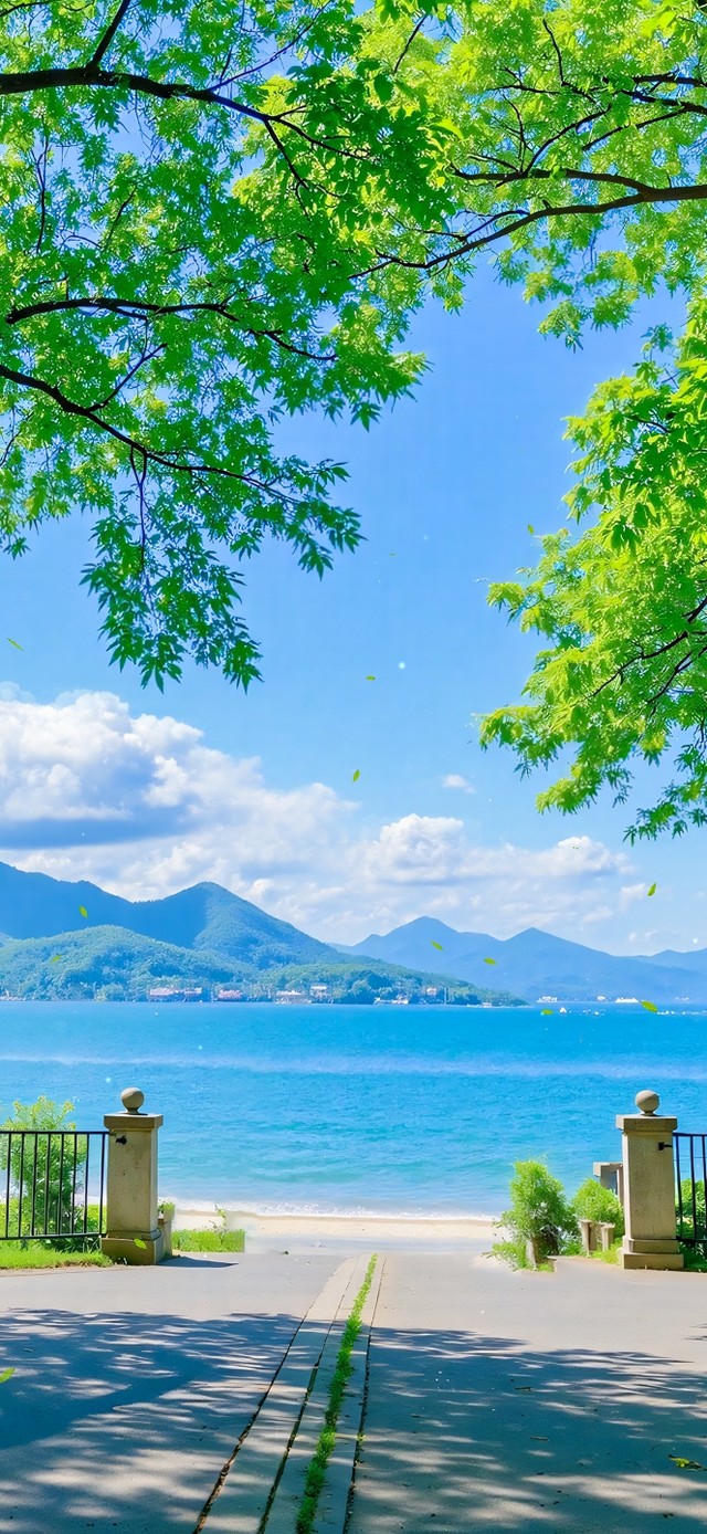 护眼树荫下湖泊风景