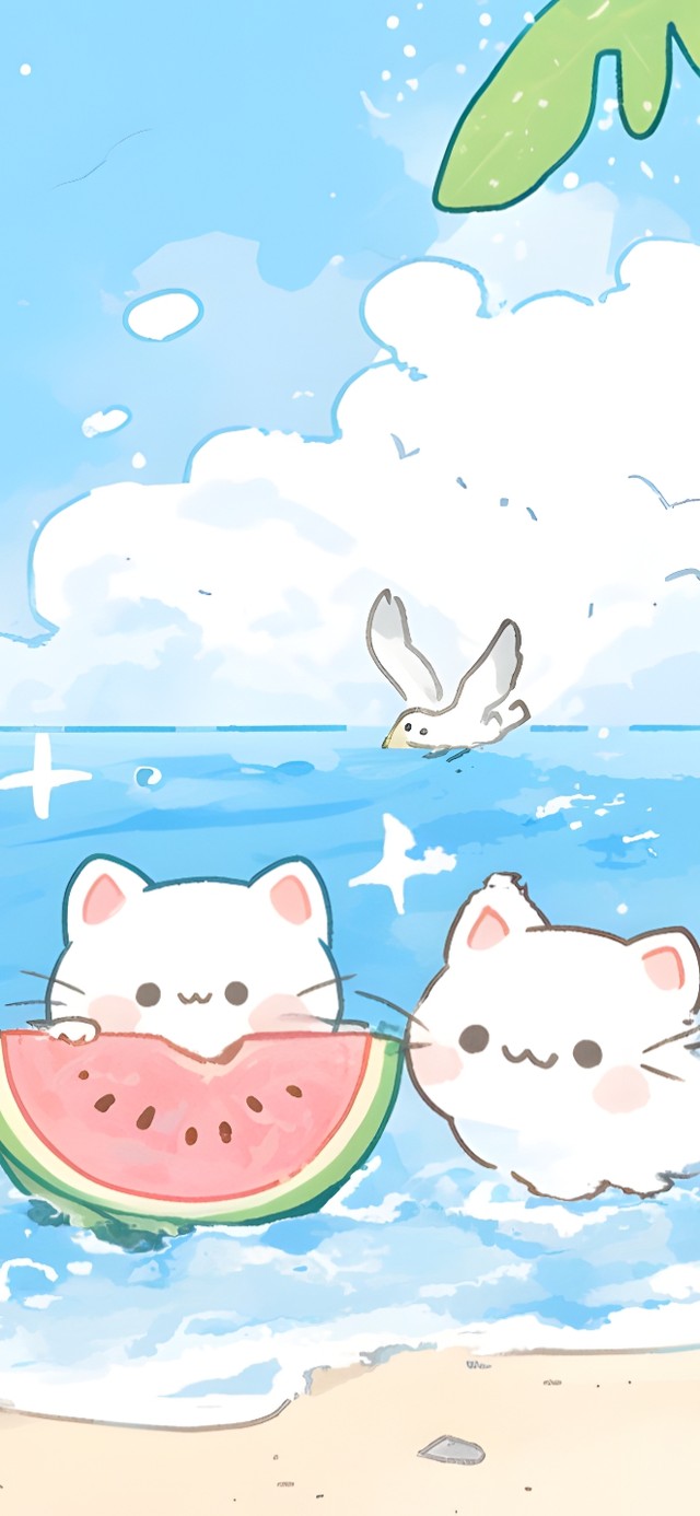 海滩猫咪