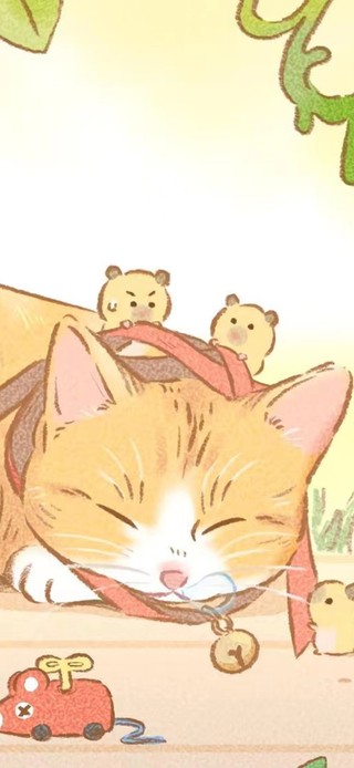 午睡的猫咪