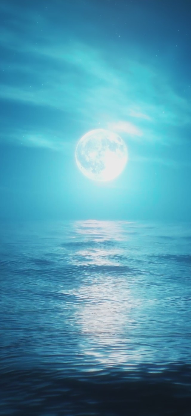 塞壬の幻海域