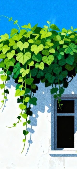 白墙上的一抹绿