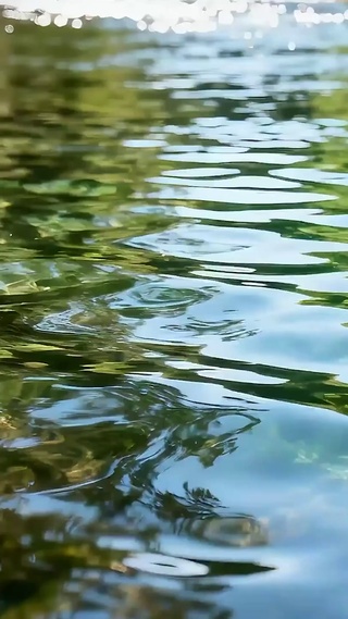 湖面绿景
