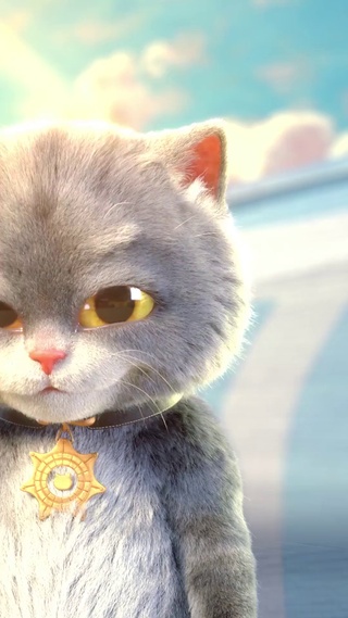 斑布猫-劲歌热舞