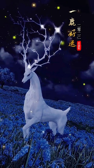 一鹿好运