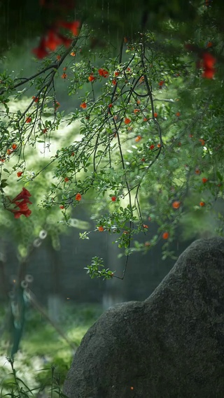 细雨湿衣看不见，闲花落地看不见
