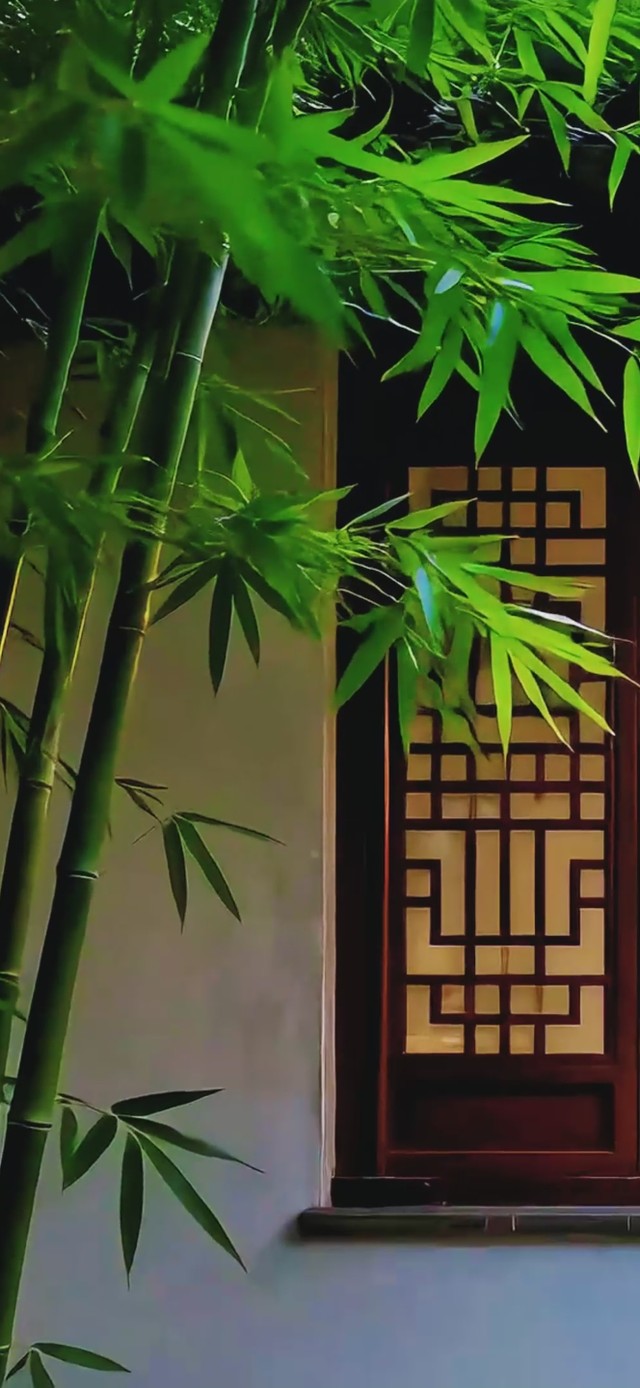 园中竹子