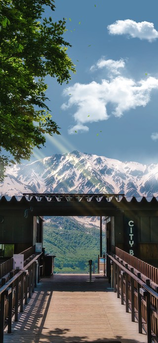 4K唯美治愈日系绿树雪山