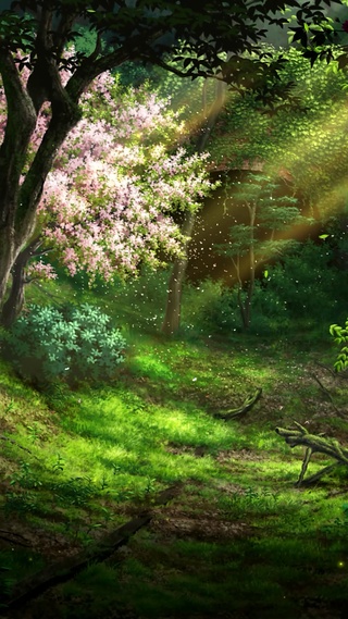 唯美春天树林樱花落