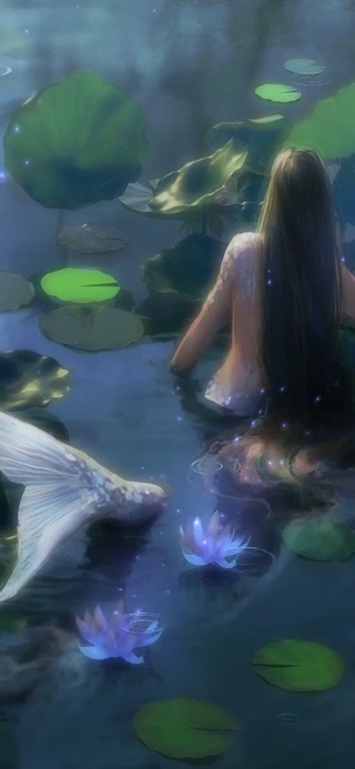 人鱼恋上荷花池畔