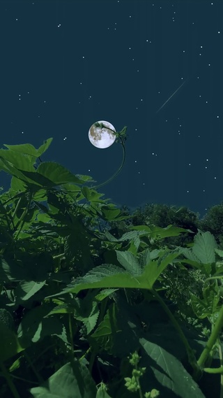 星空美景