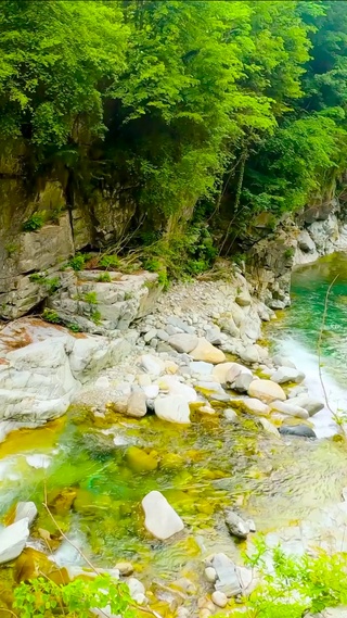护眼绿林山涧