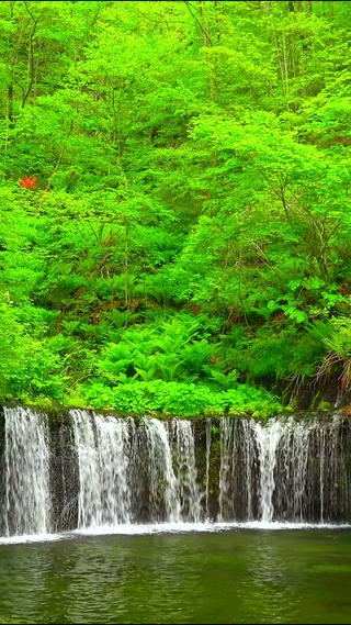 4K治愈护眼瀑布