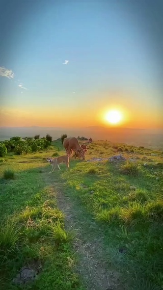 夕阳西下