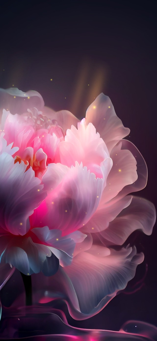花语 浪漫治愈
