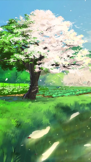 唯美乡村樱花树