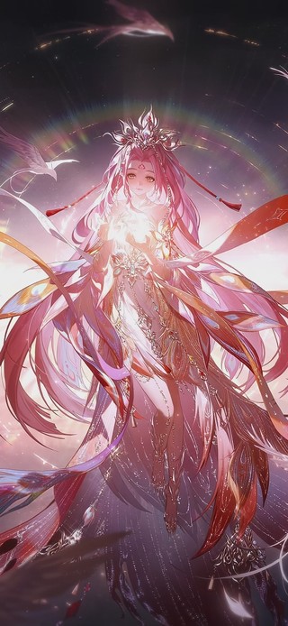 暖暖-新春金乌套