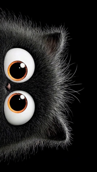 呆萌炸毛可爱小黑猫