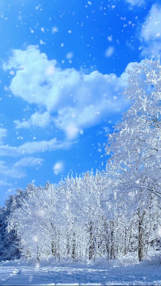 唯美雪景