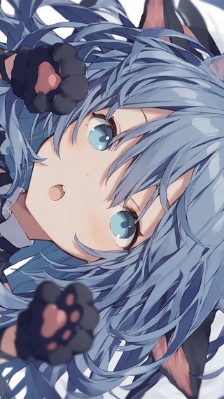 猫卡卡