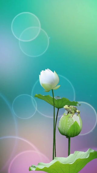 好运连连送给你