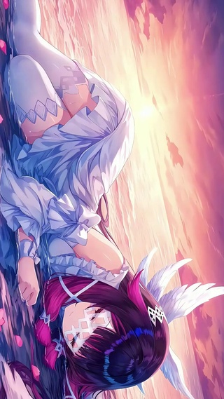 夕阳下的哥伦比娅（作者：湫糯）