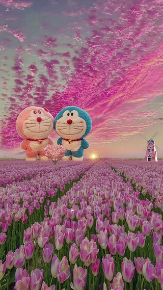 叮当猫遇见郁金香