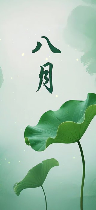 八月荷花