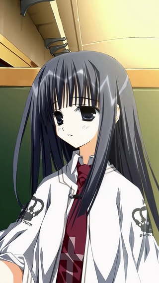 素晴日 高岛柘榴