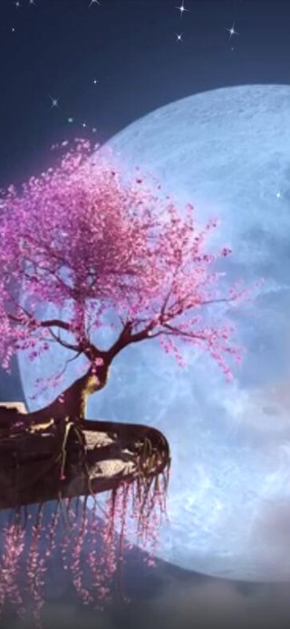 4K原神梦幻紫色樱花
