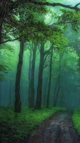 秋雨绵绵几时休，泛我心中几多愁