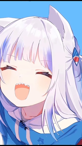 小鲨鲨