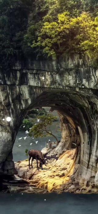 飞鸟小鹿
