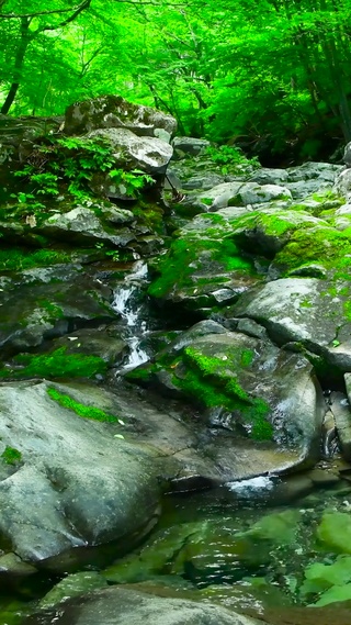 护眼山涧小溪