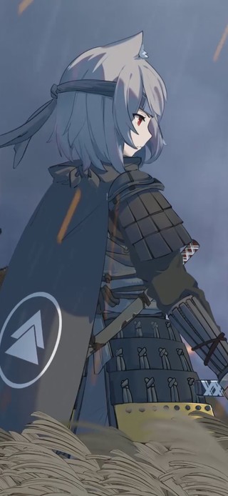 武士犬