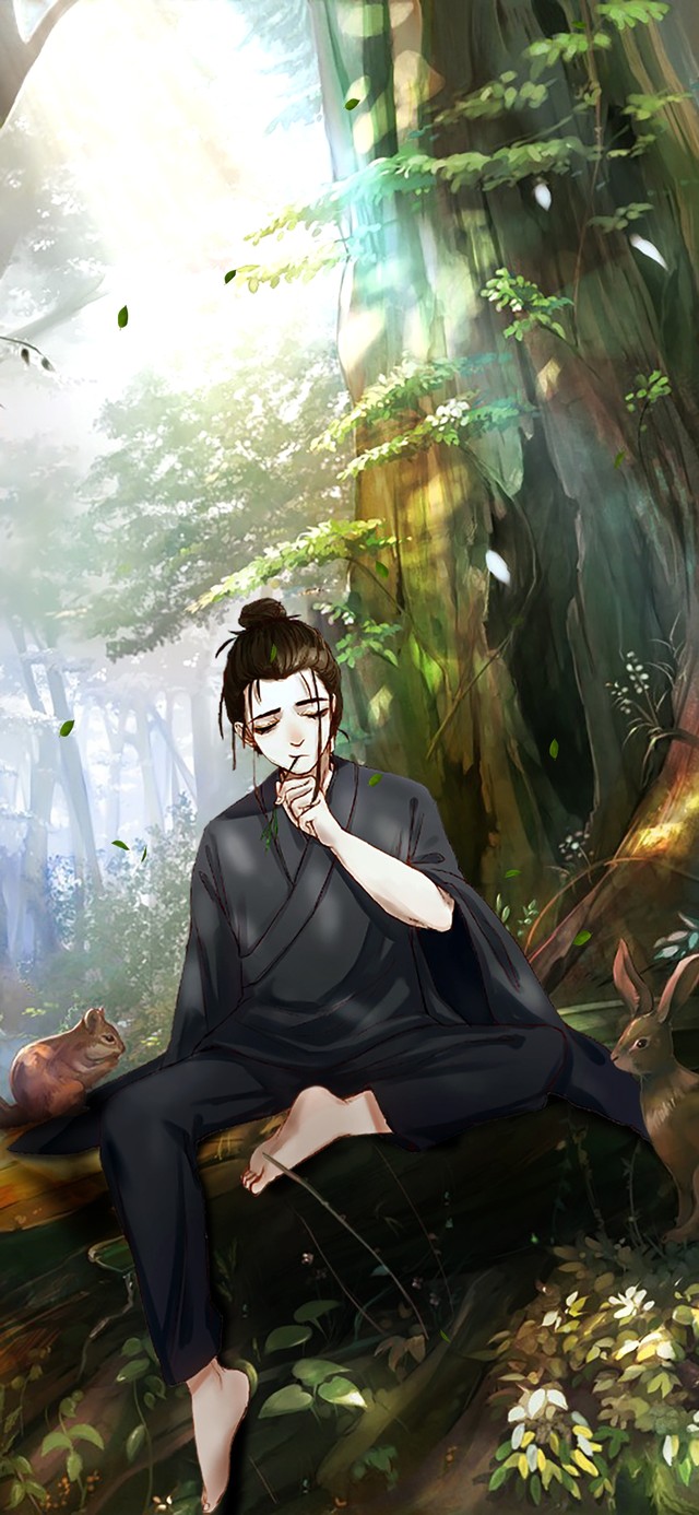 安静的武当王也