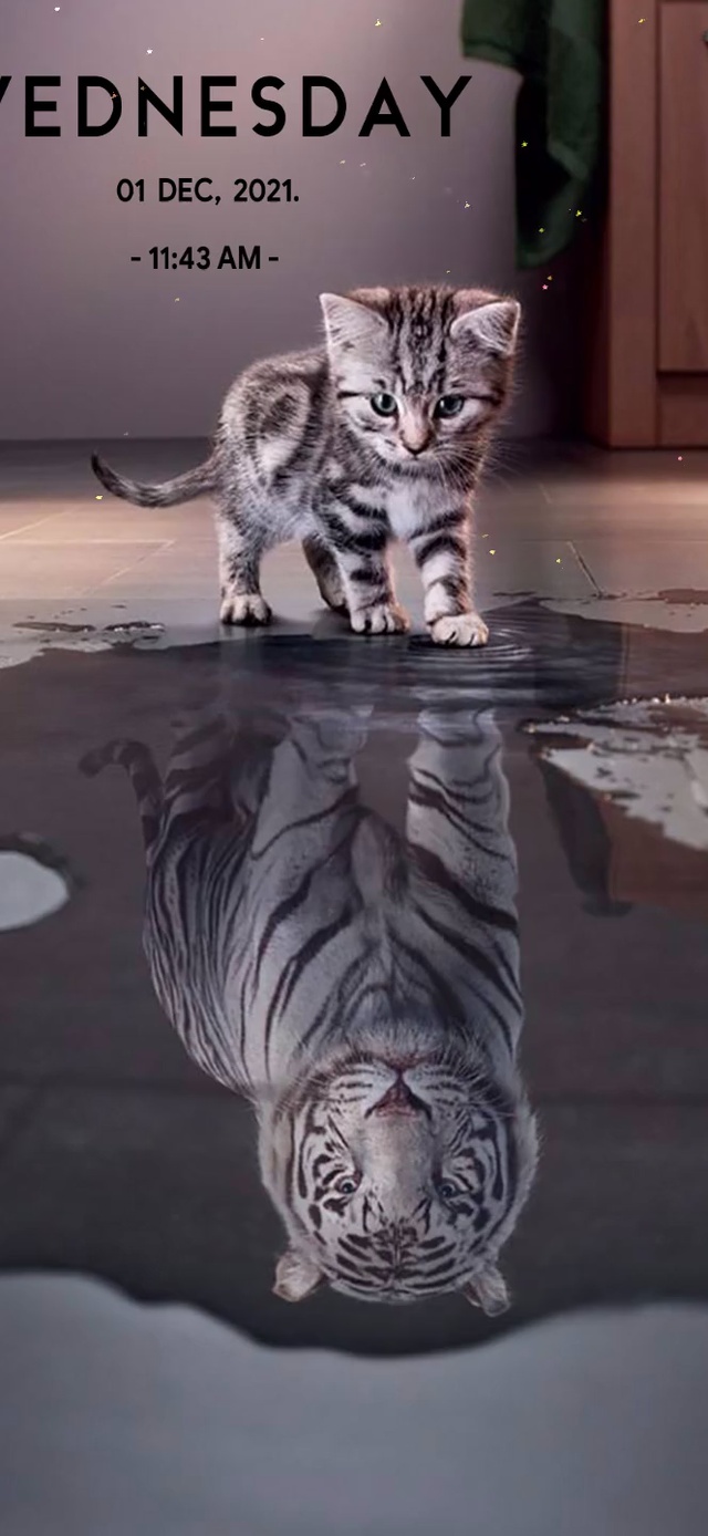 相信自己比想象中强大