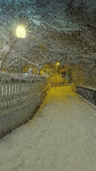 治愈回家雪景