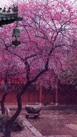 一场秋雨一场寒