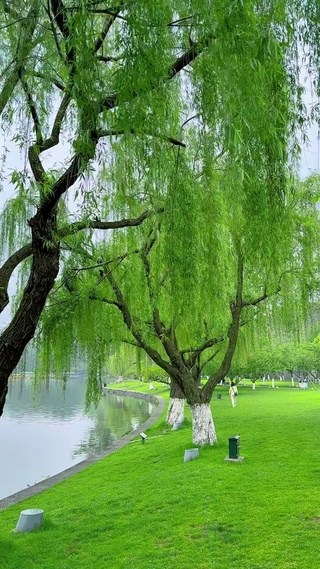 与清风为伴，与山水为友