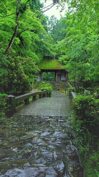 细雨蒙蒙