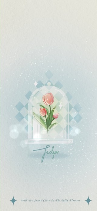 玻璃下的郁金香