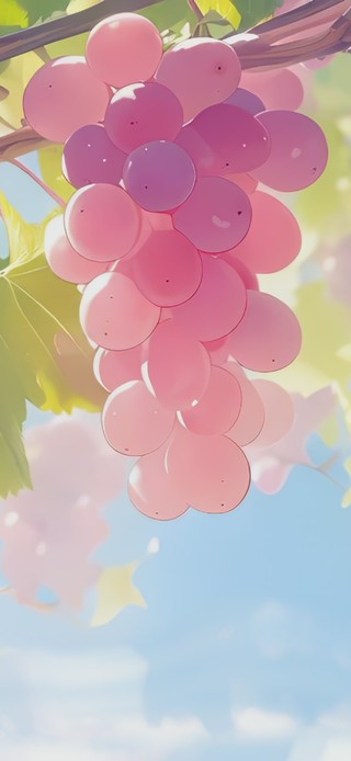 壹年壹度の葡萄藤下