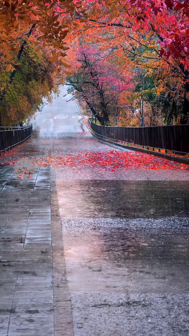秋雨一场