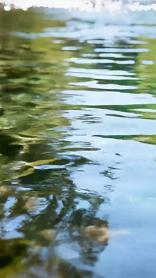 湖面绿景
