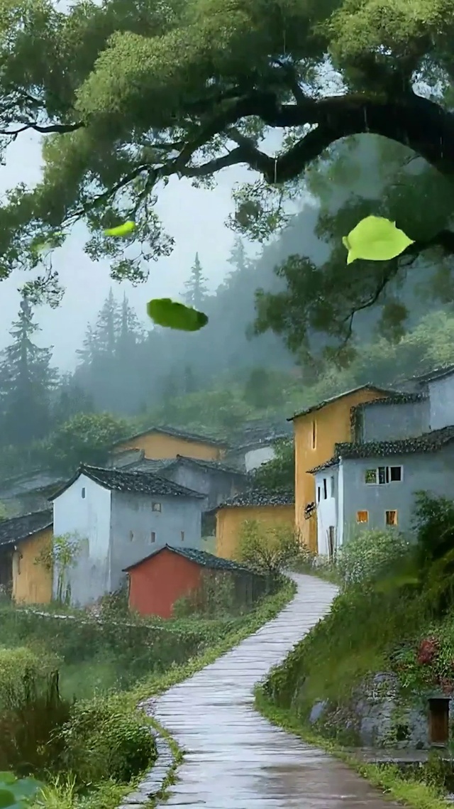 护眼雨天绿景