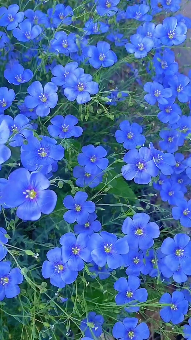 温柔且上进 知足且坚定