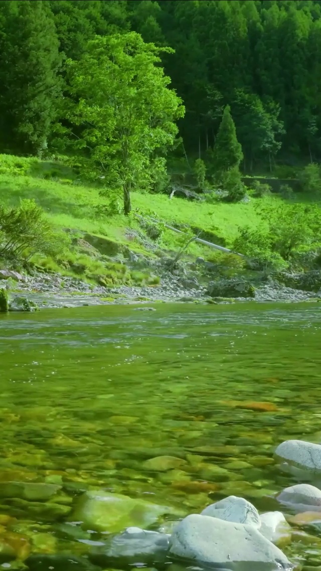 青山绿水河流